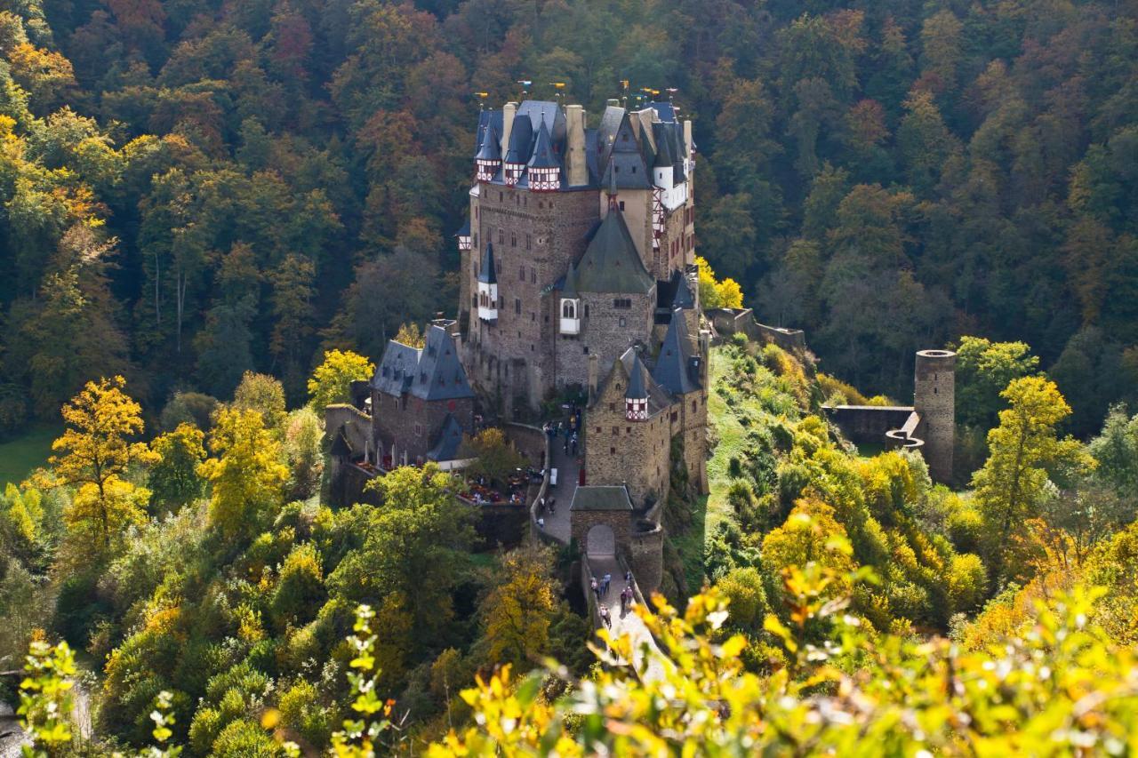 Tiny House Natur-Traum Zur Burg Eltz Wierschem Dış mekan fotoğraf