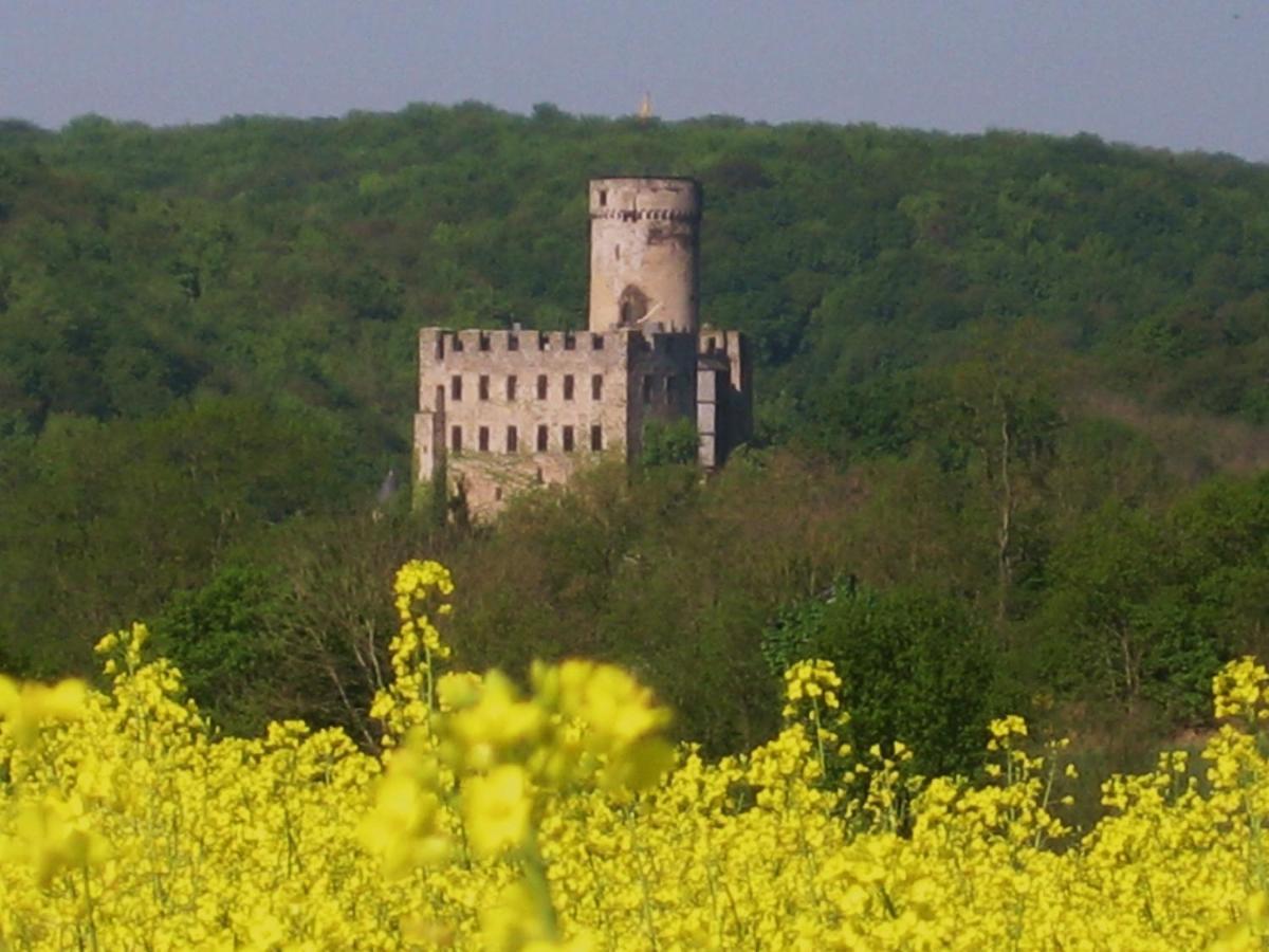 Tiny House Natur-Traum Zur Burg Eltz Wierschem Dış mekan fotoğraf